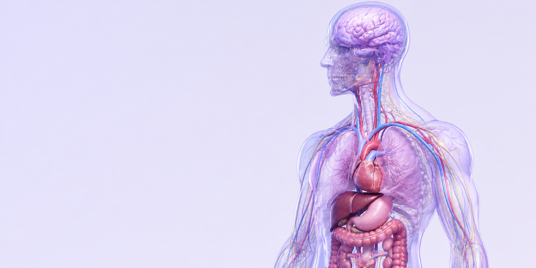internal medicine RCM
